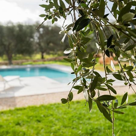 Bed and Breakfast Dimora La Scaledda Serranova Zewnętrze zdjęcie